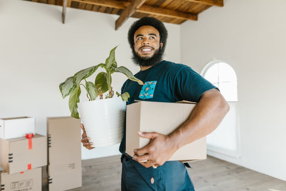 A man with a curly hairstyle and a beard is indoors, holding a potted green houseplant in a white ceramic pot in his left hand and a cardboard box in his right hand, during a home relocation or packin