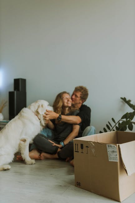 A photograph of a young woman and an older man sitting on a light-colored wooden floor inside a home, smiling and embracing each other while a large, white retriever dog interacts with them by sniffing or licking their faces. Visible in the foreground is an open cardboard box with some packing materials inside, positioned next to a partially packed shelf or area of the room with a speaker and decorative plants in the background. The scene captures a moment of packing and packing-related activity during a house move, with natural indoor lighting illuminating the space, and the overall setting reflecting a calm, organized environment associated with home relocation services such as those offered by Man with Van Leytonstone.