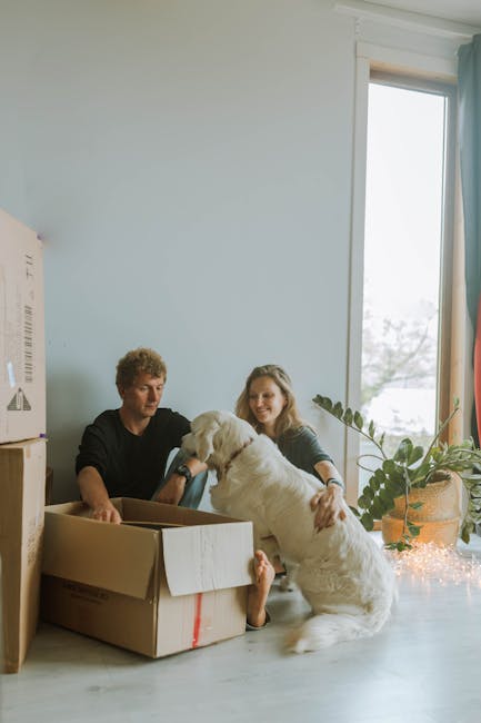 A young couple with light skin and curly hair are sitting on a light-colored wooden floor inside a bright room during a home relocation process. They are surrounded by packing materials, including open cardboard boxes, and a large cardboard box with red tape sits in front of them. The woman is smiling and holding a white Labrador Retriever, which is leaning into the box and looking at her. The man is also smiling, sitting next to the woman with one arm resting on a partially packed box. The room has white walls, a tall window with a white frame on the right allowing natural daylight, and a potted plant with large green leaves placed on the floor near the window. There are some fabric curtains, partially drawn, and behind the couple, a stack of additional packing boxes and a appliance are visible. The scene reflects the activities involved in packing and preparing for furniture transport during a house move, representing the careful process of packing, lifting, and organizing belongings, as managed by professional removal services like Man with Van Leytonstone.