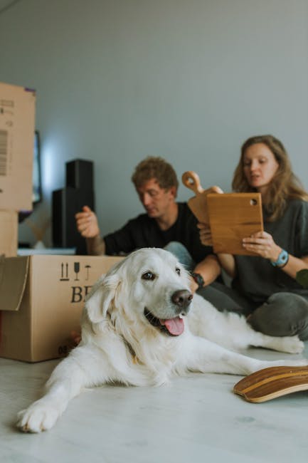 A photograph of a young woman and an older man sitting on a light-colored wooden floor inside a home, smiling and embracing each other while a large, white retriever dog interacts with them by sniffing or licking their faces. Visible in the foreground is an open cardboard box with some packing materials inside, positioned next to a partially packed shelf or area of the room with a speaker and decorative plants in the background. The scene captures a moment of packing and packing-related activity during a house move, with natural indoor lighting illuminating the space, and the overall setting reflecting a calm, organized environment associated with home relocation services such as those offered by Man with Van Leytonstone.
